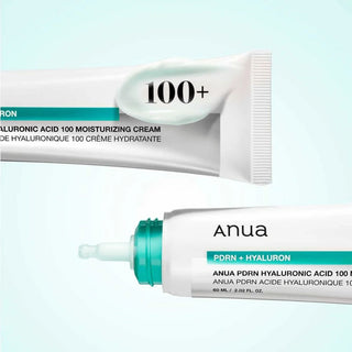 Anua PDRN Hyaluron 100 moisturizing cream 60ml